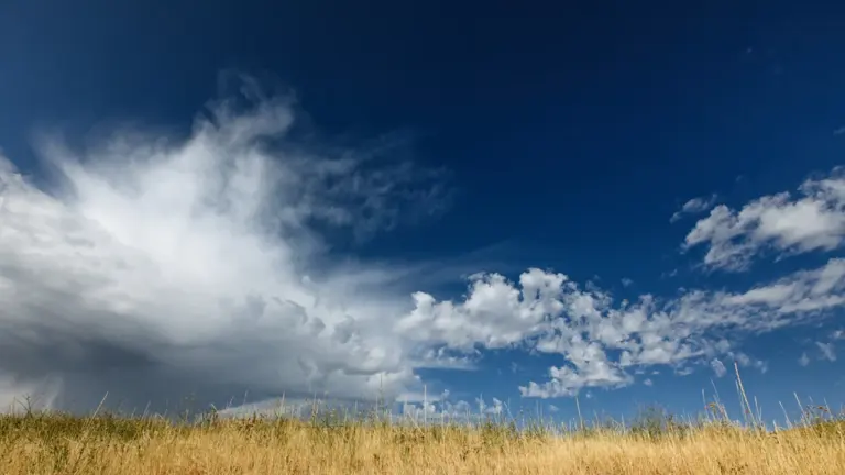 Ko psiholoģiski nozīmē sapņi par krišanu un lidošanu