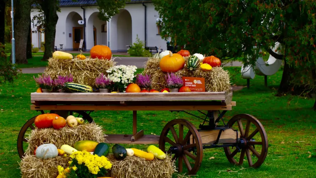 Koka ratiņš pilns ar rudens ražu, ķirbjiem un siena ruļļiem Miķeļdienas noskaņās.