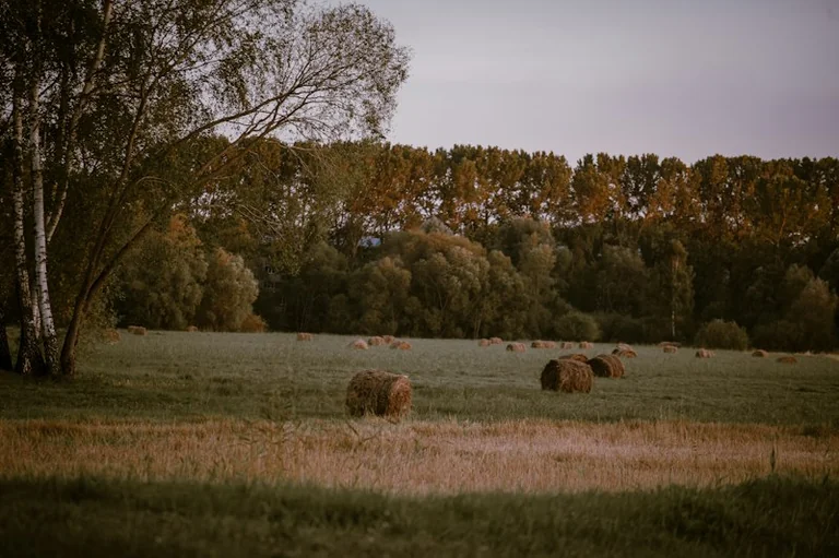 Pasaules tūrisma diena: ko vietējais ceļojums dod Latvijas reģionam