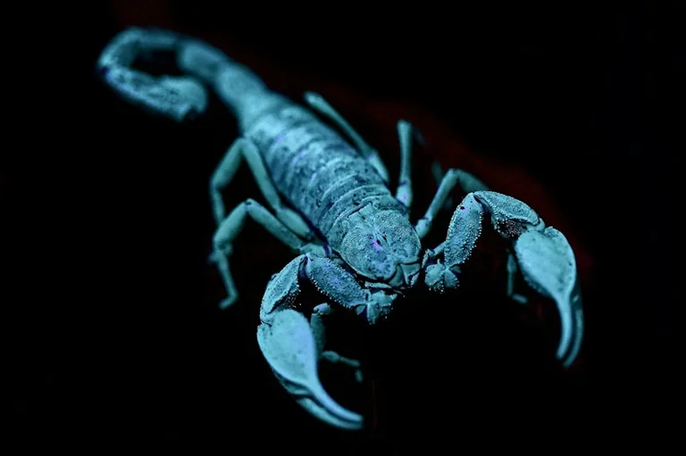 30. oktobra horoskops: izvēlieties vienu galveno uzdevumu